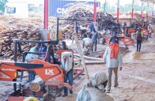 Ivorian timber processing company leads the way with Wood-Mizer